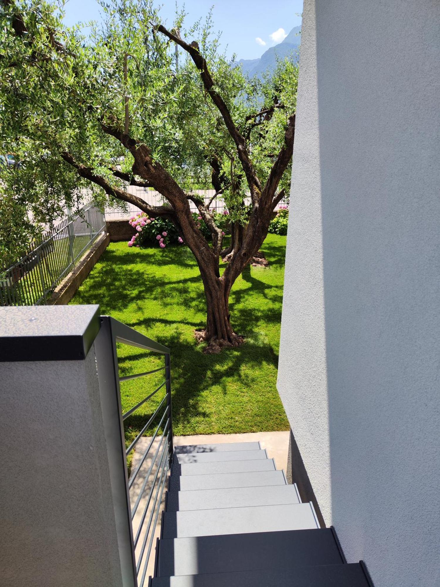 Oasi Degli Ulivi Apartment Riva del Garda Exterior photo